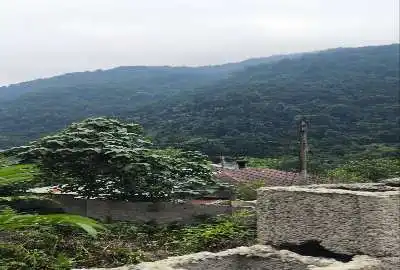 زمین مسکونی ۱۵۵ متر دو بر دهکده زیبای سیاهمزگی