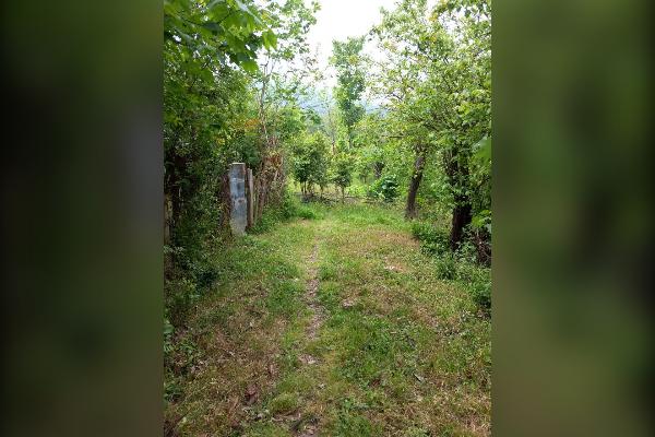 فروش زمین ۱۱۰۰ متر روستای میانلات - تصویر 3