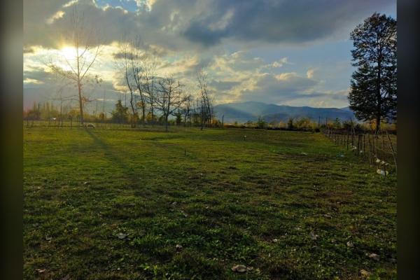 زمین مزروعی ۶۵۰۰ متر شاندرمن روستای دلیجان - تصویر 2