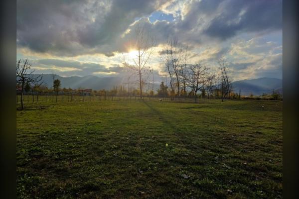 زمین مزروعی ۶۵۰۰ متر شاندرمن روستای دلیجان - تصویر 4