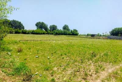 زمین مزروعی ۶۵۰۰ متر شاندرمن روستای دلیجان