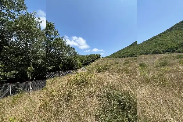 زمین ۶۰۰۰ متر ارتفاعات کندلوس روستای گیل کلا - تصویر 1