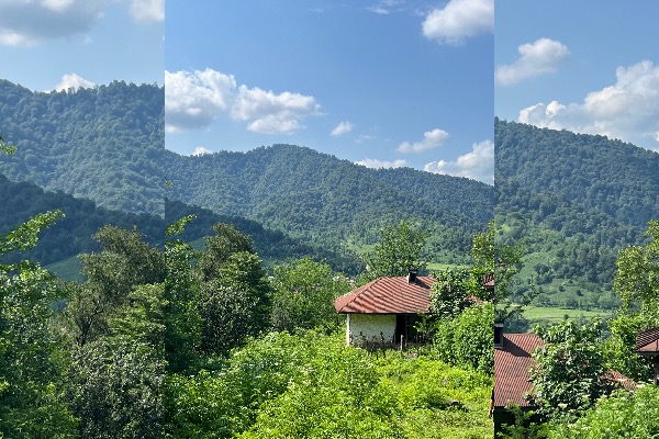 زمین جنگلی ۲۰۰۰متری و کلبه قدیمی - تصویر 1
