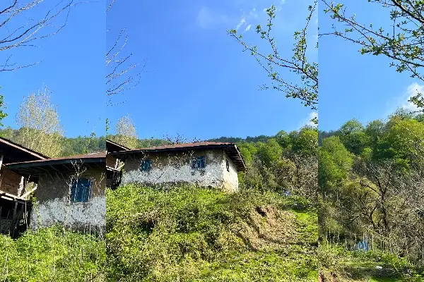 زمین جنگلی ۲۰۰۰متری و کلبه قدیمی - تصویر 4