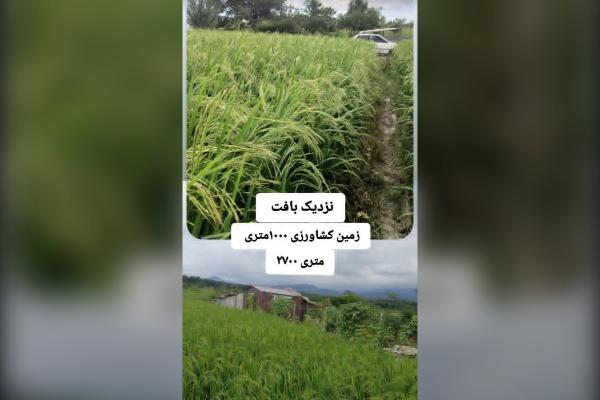 زمین کشاورزی سر جاده اصلی - تصویر 1