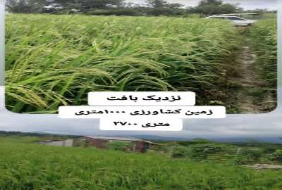 زمین کشاورزی سر جاده اصلی