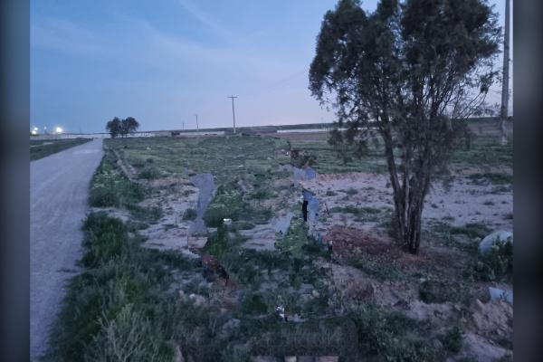 زمین ویلایی شاهنامه ۶۹ بعد بعد از کارخانه ارد ۵۰۰ متر - تصویر 1