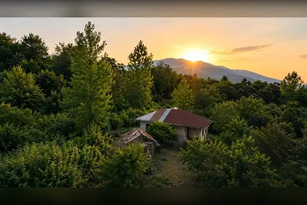 فروش زمین به مساحت ۵۰۰۰ متر رحیم آباد روستای بنکسر - تصویر 2