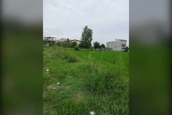 زمین کشاورزی آماده برای کشت - تصویر 1