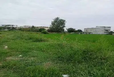 زمین کشاورزی آماده برای کشت