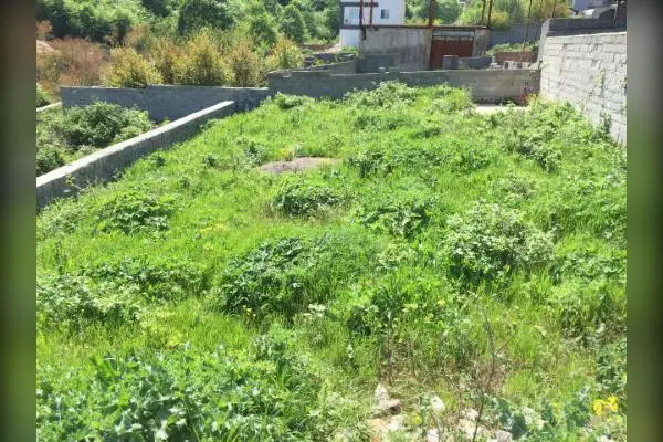 فروش زمین بهشهر مازندران بام شهر ۲۰۰ متر - تصویر 2
