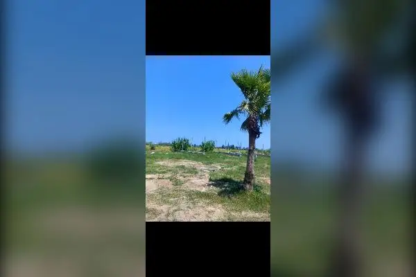 پلاک زمین ۲۰۰ متری در محمود آباد بیشه کلا - تصویر 1