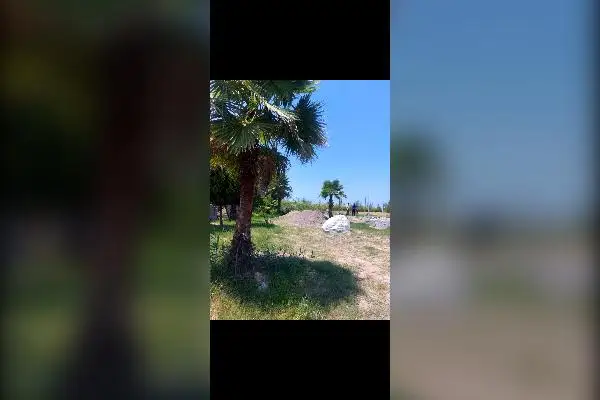 پلاک زمین ۲۰۰ متری در محمود آباد بیشه کلا - تصویر 2