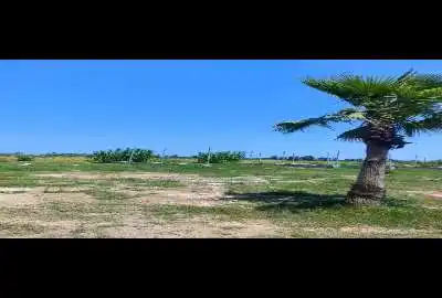 پلاک زمین ۲۰۰ متری در محمود آباد بیشه کلا