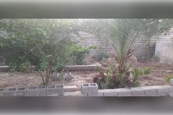 فروش زمین و کارگاه دو اتاق در برومی - تصویر 2