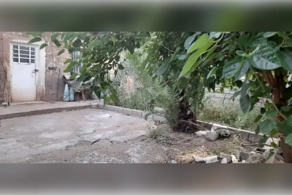 فروش زمین و کارگاه دو اتاق در برومی - تصویر 3