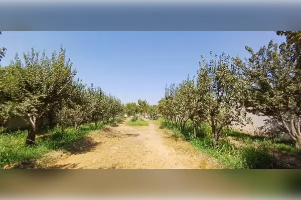 فروش باغ و زمین جهت ساخت ویلا - تصویر 1