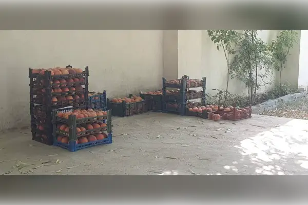 فروش باغ و زمین جهت ساخت ویلا - تصویر 3