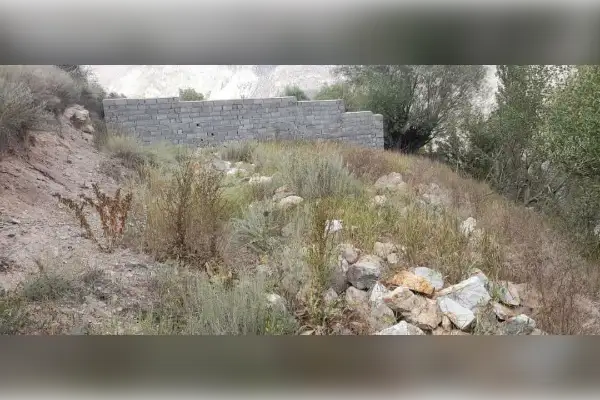 زمین محور جاده هراز منطقه لاریجان روستای ملار - تصویر 1