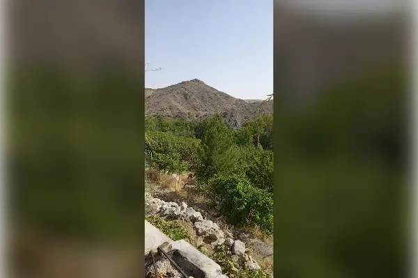 باغ در سامان چم خرم روستای کاهکش - تصویر 1