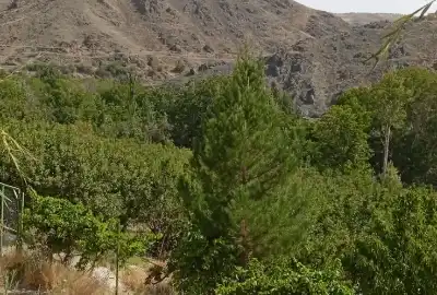 باغ در سامان چم خرم روستای کاهکش