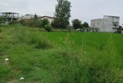 زمین کشاورزی ۹۲۰۰ متری با سند تک برگ