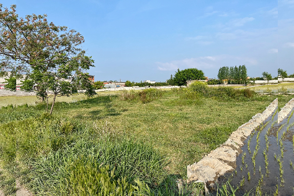 زمین مغازه ای بر جاده اصلی واسکس قبل از روستای درزیکلا - تصویر 1