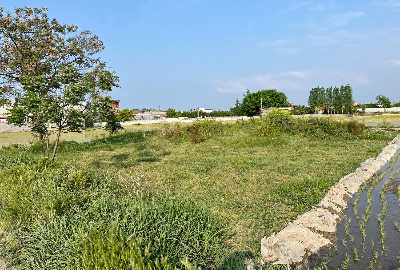 زمین مغازه ای بر جاده اصلی واسکس قبل از روستای درزیکلا