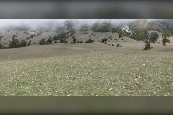 زمین کشاورزی مازندران کجور عالیدره - تصویر 2