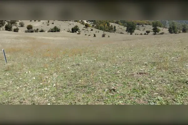 زمین کشاورزی مازندران کجور عالیدره - تصویر 4