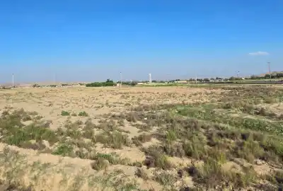 فروش زمین در میان آباد پشت بسطام ۵۶۲۵ متر