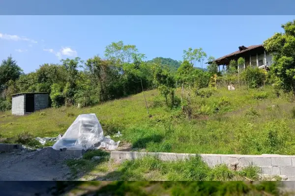 زمین مسکونی سند تک برگ ۵ کیلومتری رامسر - تصویر 2