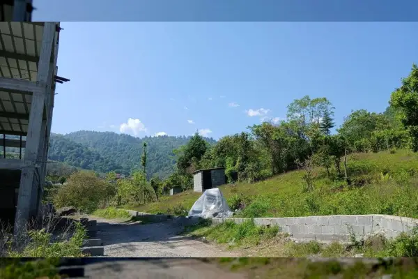 زمین مسکونی سند تک برگ ۵ کیلومتری رامسر - تصویر 3