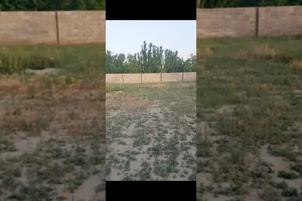 فروش زمین واقع در امامزاده روستای هسپستان - تصویر 2