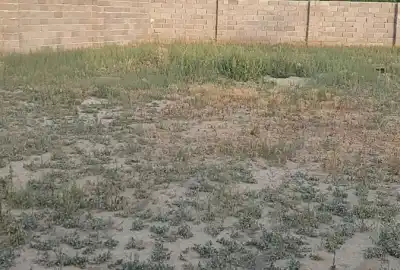 فروش زمین واقع در امامزاده روستای هسپستان