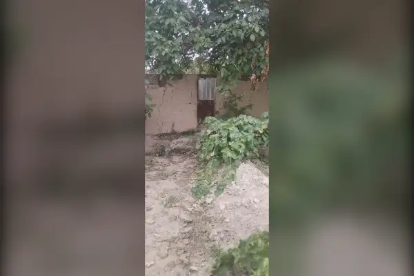 زمین باغ ۳۰۰ متری روستای آجان - تصویر 4