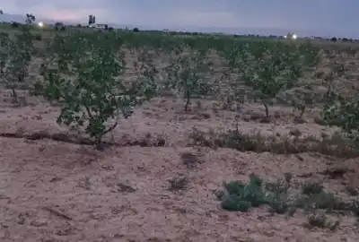 زمین کشاورزی قیدار آب ۴۰۰۰۰۰ متر