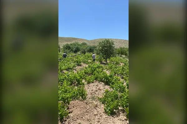 باغ در داران ۱۰۰۰۰ متر با امکانات استثنایی - تصویر 2
