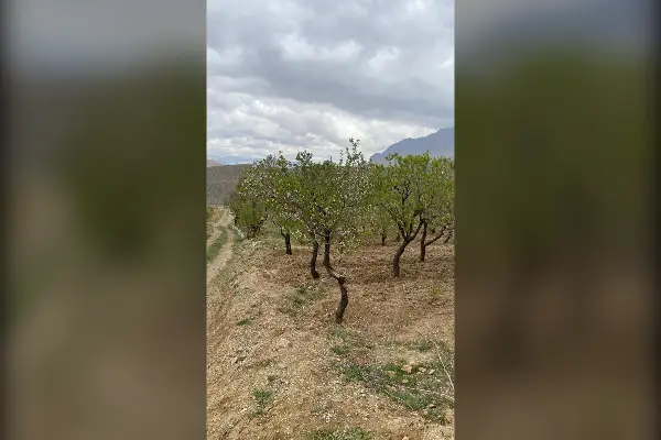 باغ در داران ۱۰۰۰۰ متر با امکانات استثنایی - تصویر 3