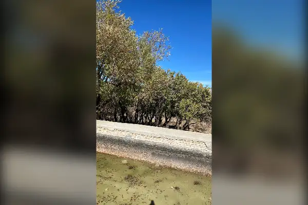 باغ در داران ۱۰۰۰۰ متر با امکانات استثنایی - تصویر 4