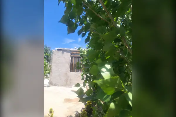 فروش باغچه ی ۶۶۲ متری تنکمان روستای بختیار - تصویر 2