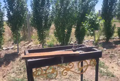 فروش باغچه ی ۶۶۲ متری تنکمان روستای بختیار