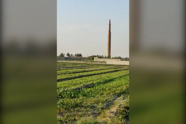 زمین مناسب باغ ویلا گلخانه دامداری - تصویر 3