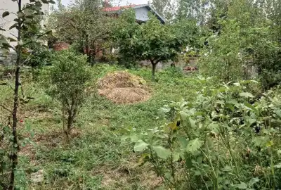 فروش زمین ۳۵۰متری ما بین شهر تالش و جنگل گیسوم