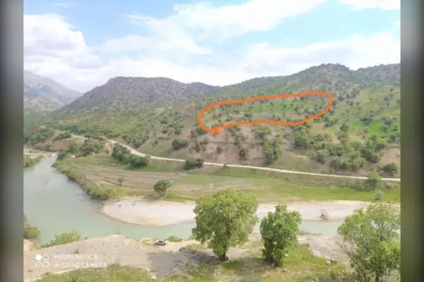 فروش زمین ۱۳۰۰۰متری سادات محمودی روستای کتا - تصویر 4