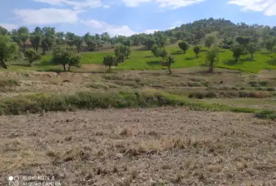 فروش زمین ۱۳۰۰۰متری سادات محمودی روستای کتا