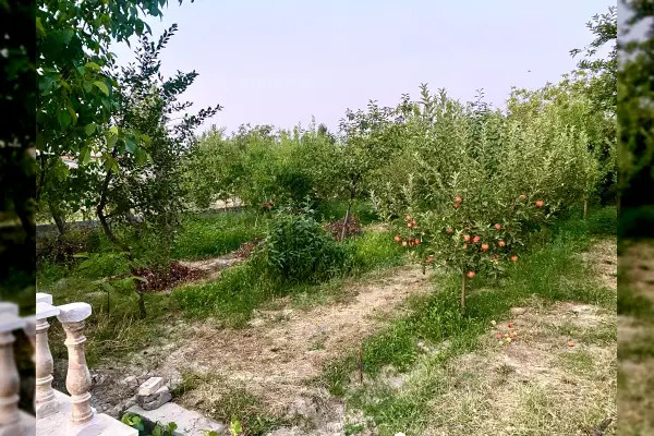 فروش زمین ویلایی در روستای زنگی ۸۵۰ متر - تصویر 4