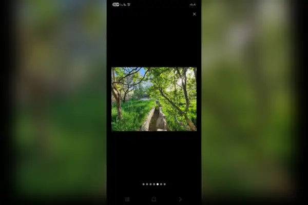 فروش باغ فیرورق ۴۵۰۰ متر حوالی اول جاده فیرورق چالدارن - تصویر 2