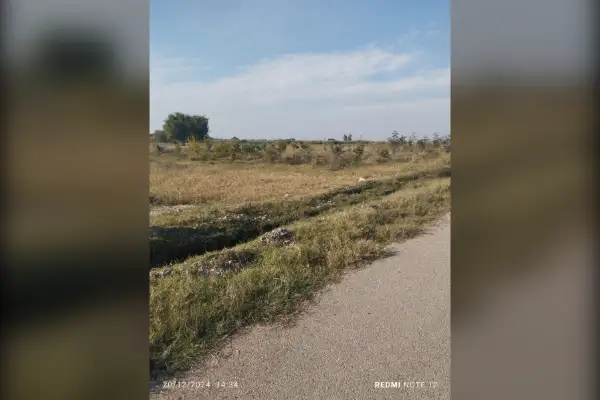 زمین باغچه ۶۰۰متری خوزستان دزفول پل الغدیر جاده سنجر - تصویر 2