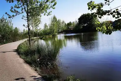 زمین کاربری مسکونی سنددار فومن گیلان
